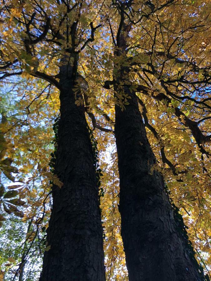 B&B La Tour Blanche Forest-Montiers Exteriér fotografie