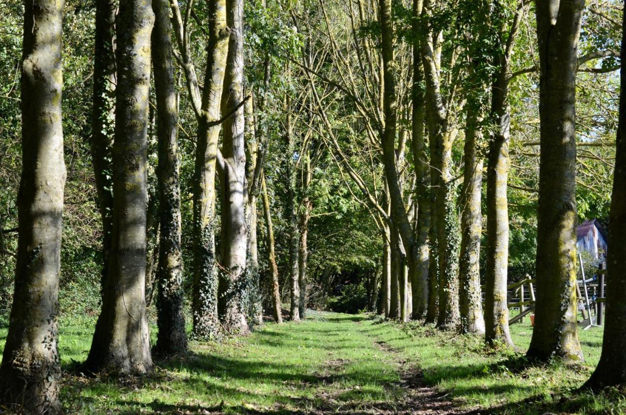 B&B La Tour Blanche Forest-Montiers Exteriér fotografie